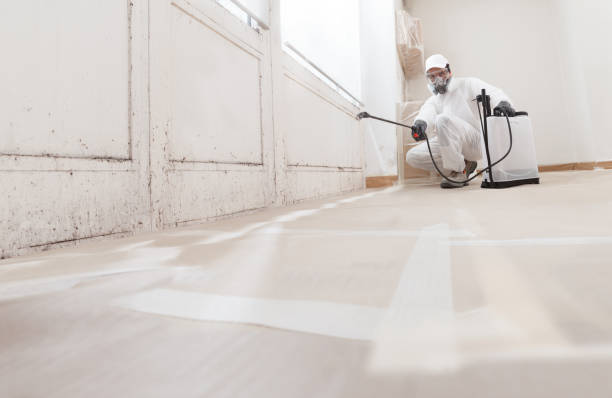 24/7 Emergency Attic Mold Removal experts in Laurel, MD