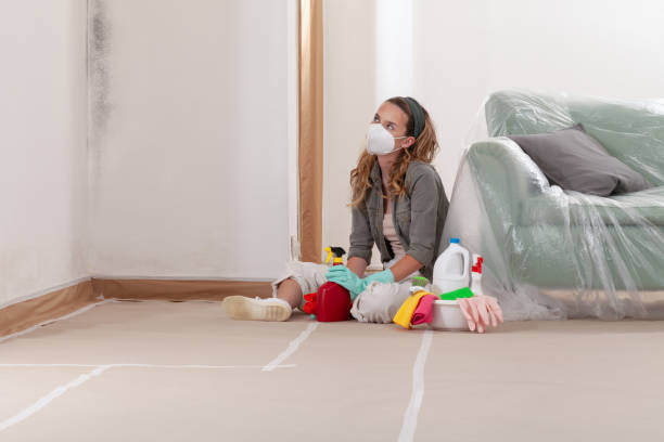 Reliable Attic Mold Removal contractor in Laurel, MD by WQB Mold Removal