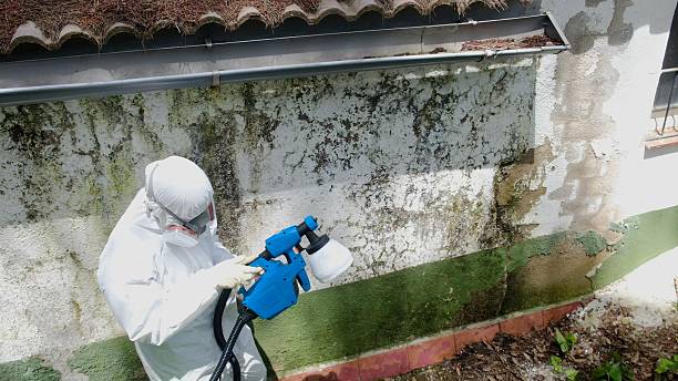 Top rated local Attic Mold Removal specialists in Laurel, MD